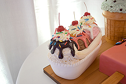 SPRING HAS SPRUNG BAT MITZVAH